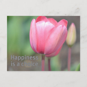 Cartão Postal Tulipas da Felicidade