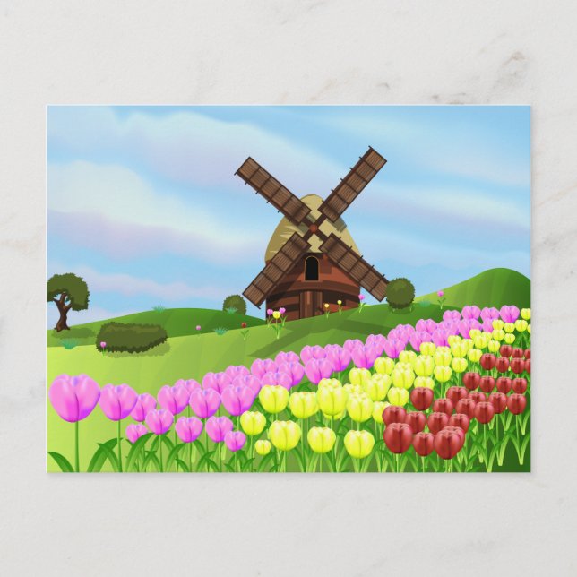 Cartão Postal Tulipas da Holanda (Frente)