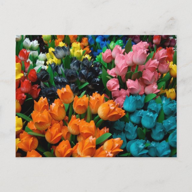 Cartão Postal Tulipas de Amsterdã (Frente)