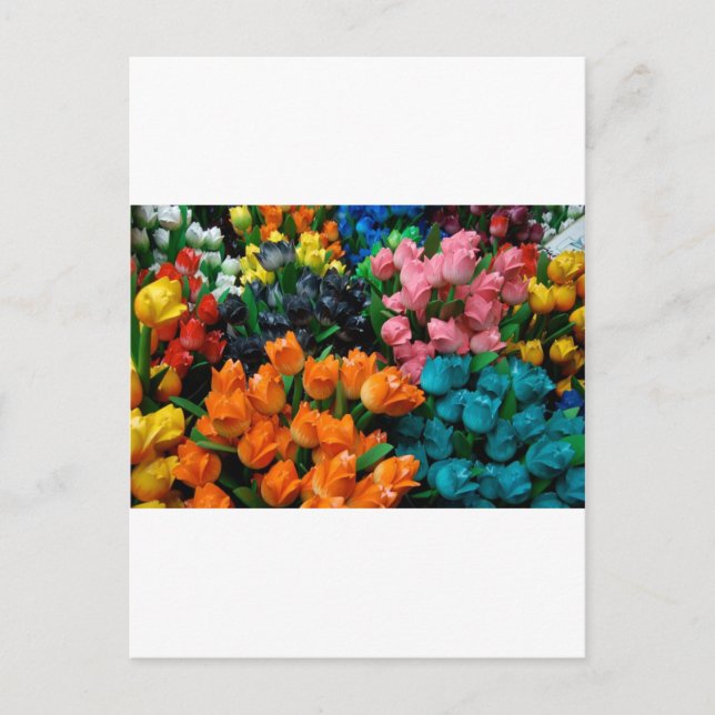 Cartão Postal Tulipas de Amsterdã (Frente)