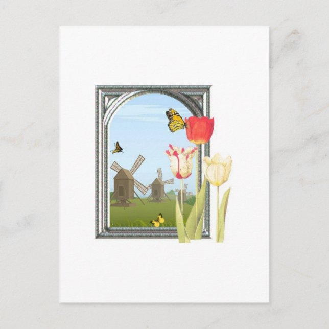 Cartão Postal Tulipas de Amsterdã (Frente)