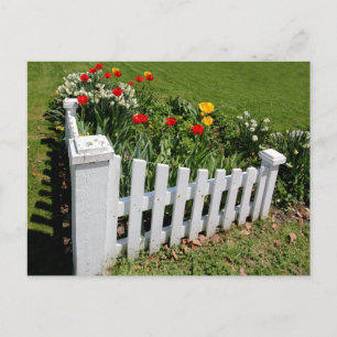 Cartão Postal Tulipas De Jardim Com Cartão-Postal De Pintura Br