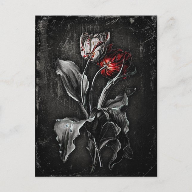 Cartão Postal Tulipas Góticas (Frente)