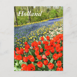 Cartão Postal Tulipas na floresta