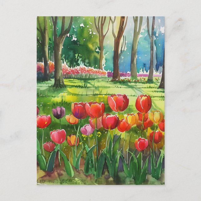 Cartão Postal Tulipas no Parque (Frente)