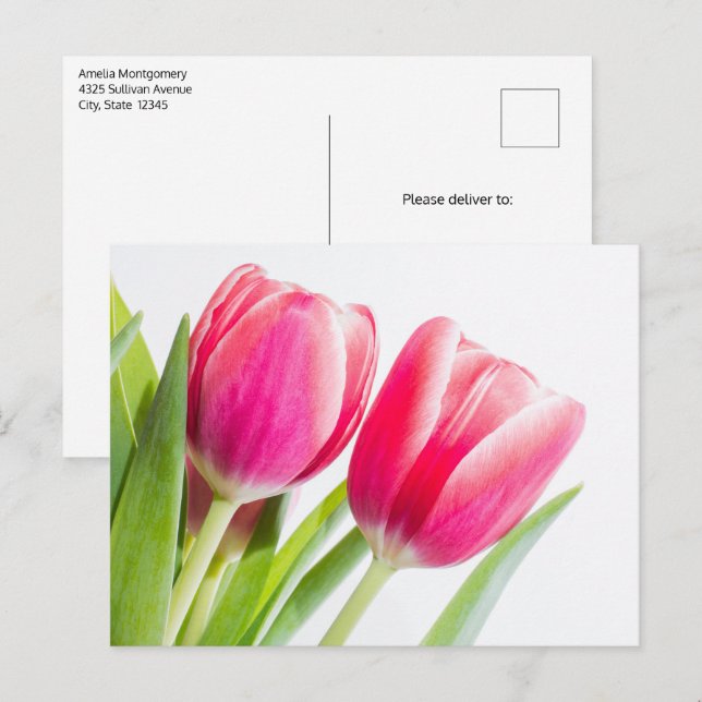 Cartão Postal Tulipas Rosa com Foto de Folhas Verdes (Frente/Verso)