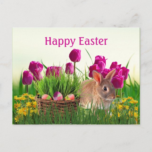 Cartão Postal Tulipas Rosa e Coelho de Páscoa (Frente)