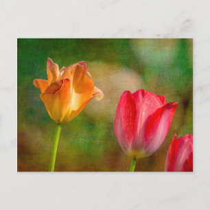 Cartão Postal Tulipas vermelhas e amarelas em fundo texturizado