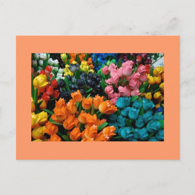 Cartão Postal Tulips Galore (Frente)