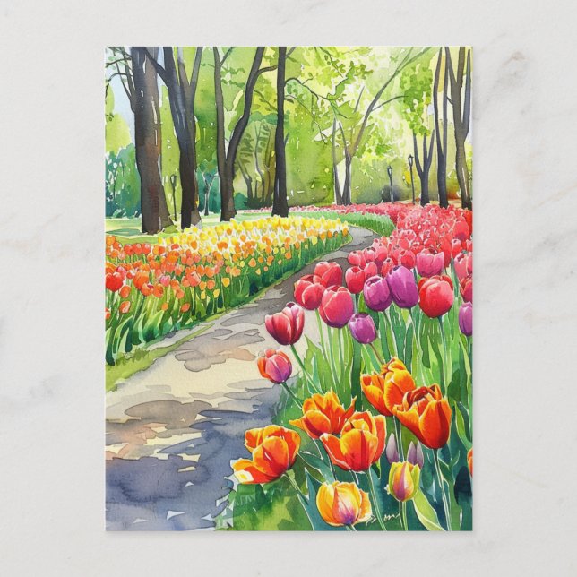 Cartão Postal Tulips in The Park (Frente)