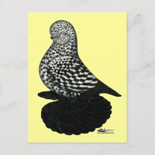 Cartão Postal Tumbler2 de abertura com muffed