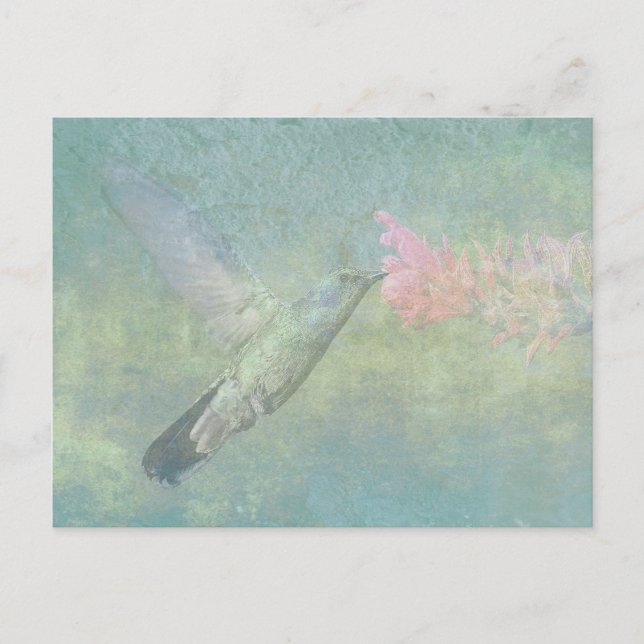 Cartão Postal Tune do Hummingbird (Frente)