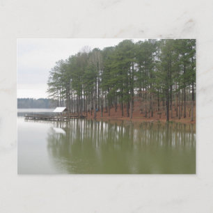 Cartão Postal Tupelo Reflexos à Beira do Lago Fotografia de Pais
