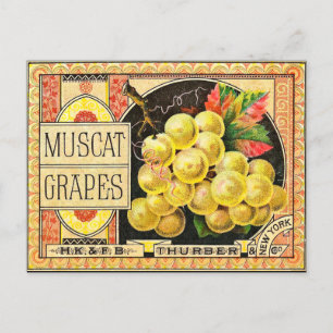 Cartão Postal Turber Muscat Graphics - Rótulo de Taxa de Vintag
