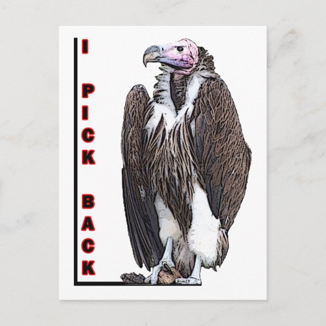 Cartão Postal Turco Abutre I Pick Back Posterized Foto (Frente)