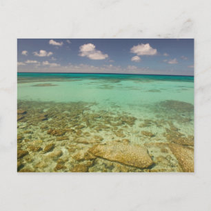 Cartão Postal Turcos e Caicos, Ilha Grande Turk, Cockburn 2