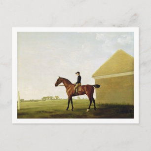 Cartão Postal Turf, c.1765 (óleo na canvas) (ver 152743)