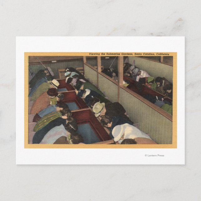 Cartão Postal Turistas vendo os Jardins Submarinos (Frente)