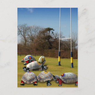 Cartão Postal Turtle Rugby