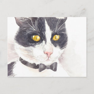 Cartão Postal Tuxedo cat