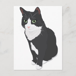 Cartão Postal Tuxedo Cat