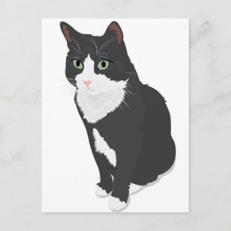 Cartão Postal Tuxedo Cat
