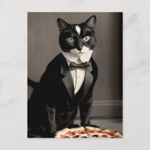 Cartão Postal Tuxedo cat e pizza