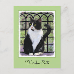Cartão Postal Tuxedo Cat em Pintura de Janela Arte Animal Origin