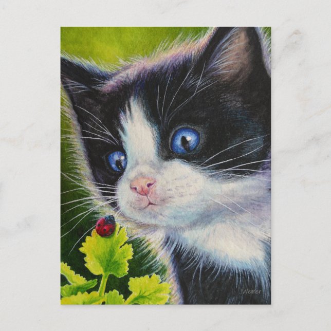 Cartão Postal Tuxedo Kitten e Ladybug Watercolor Art (Frente)