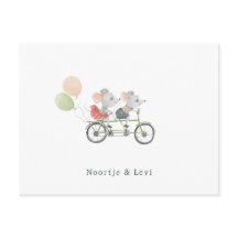 Tweeling Baby Geboortekaartje Schattige Muisjes