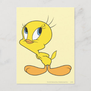 Cartão Postal Tweety Hmm