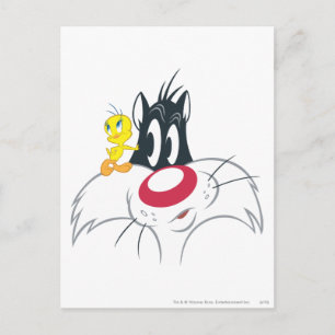 Cartão Postal Tweety In Action Pose 12