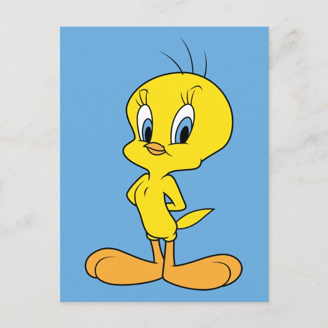 Cartão Postal TWEETY™ | Pássaro inteligente (Frente)