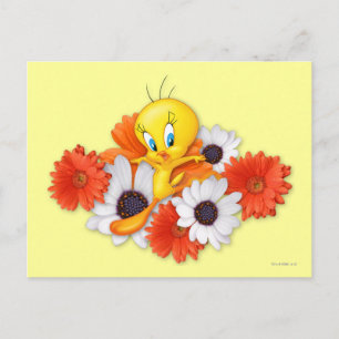 Cartão Postal Tweety with Daisies