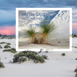 Cartão Postal Twin Yuccas, White Sands National Park