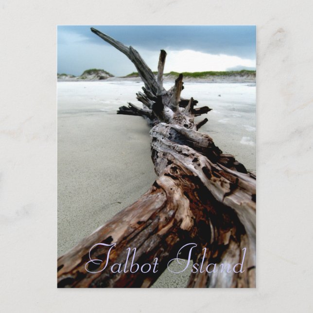 Cartão Postal Twisted (Frente)