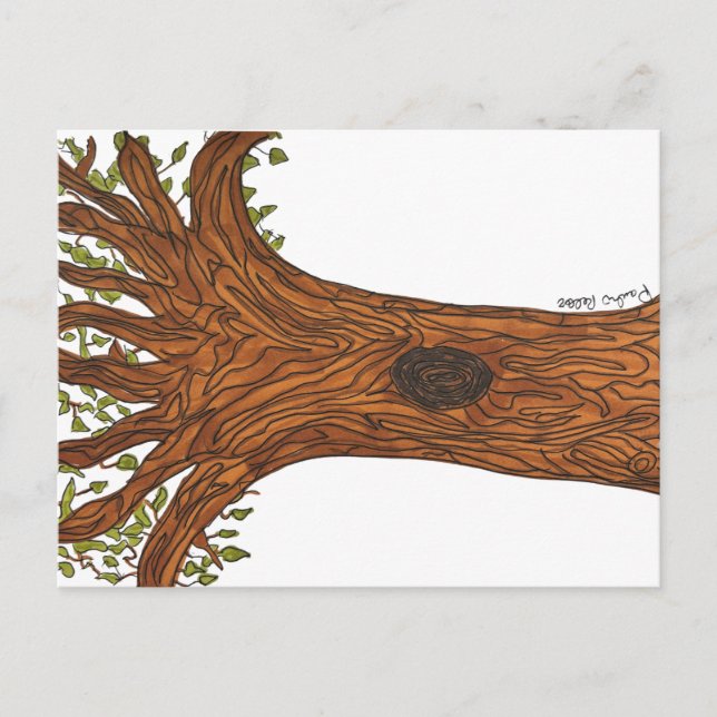 Cartão Postal Twisted Tree Postcard (Frente)