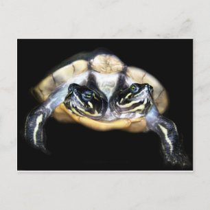 Cartão Postal Two-Headed Turtle
