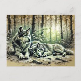 Cartão Postal Two Wolves Resting in the Forest
