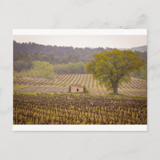 Cartão Postal Typically french