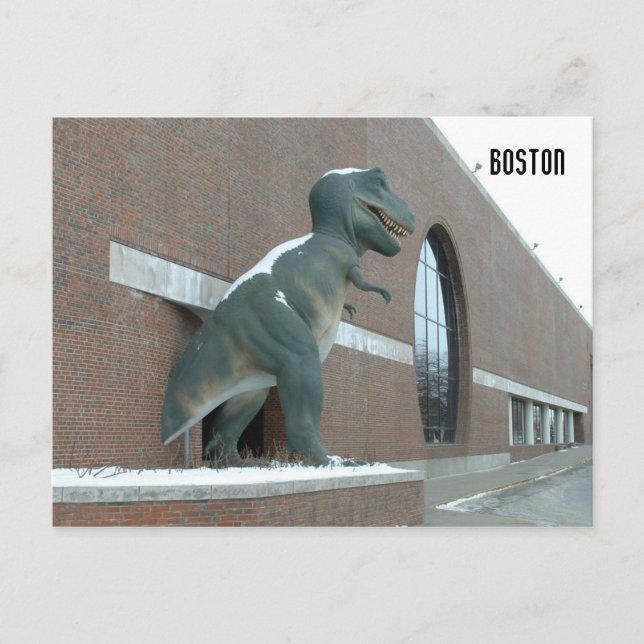 Cartão Postal Tyrannosaurus Rex (Frente)