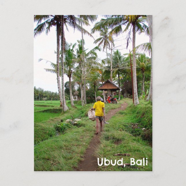 Cartão postal Ubud Bali - Indonésia - campo de arr (Frente)