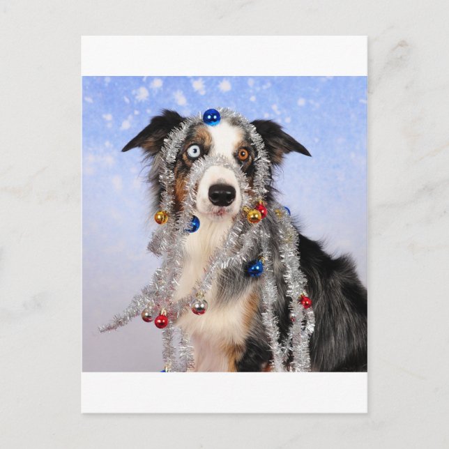 Cartão Postal Uh-oh (Frente)