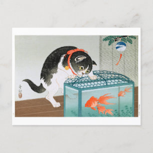 Cartão Postal Ukiyoe [Koson] Cat e Goldfish
