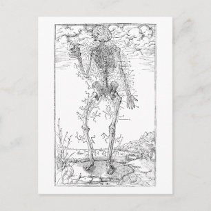 Cartão Postal Último Nervo - Esqueleto de Halloween