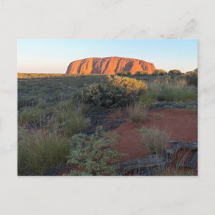 Cartão Postal Uluru Sunrise e Flora do Deserto