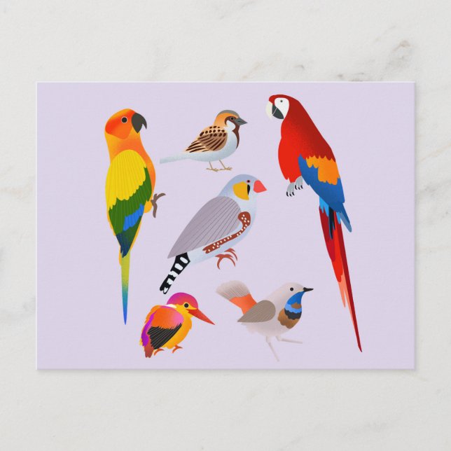 Cartão Postal Um Ajuntamento de Pássaros (Frente)