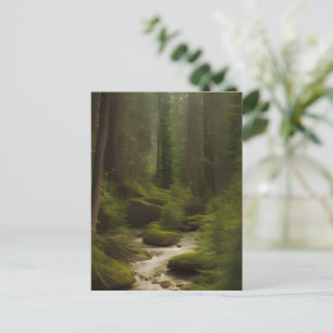 Cartão Postal Um Belo Fluxo Florestal