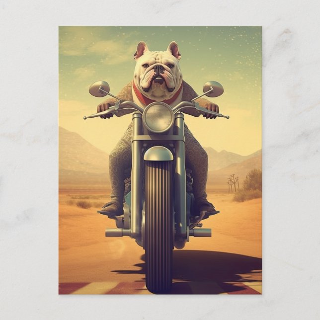 Cartão Postal Um Bulldog Andando Motocicleta no Deserto (Frente)