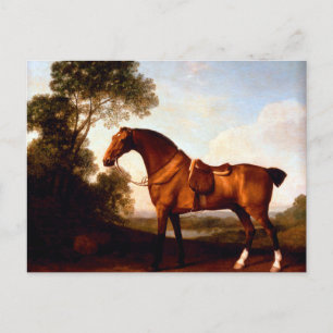 Cartão Postal Um caçador de baía selada por George Stubbs
